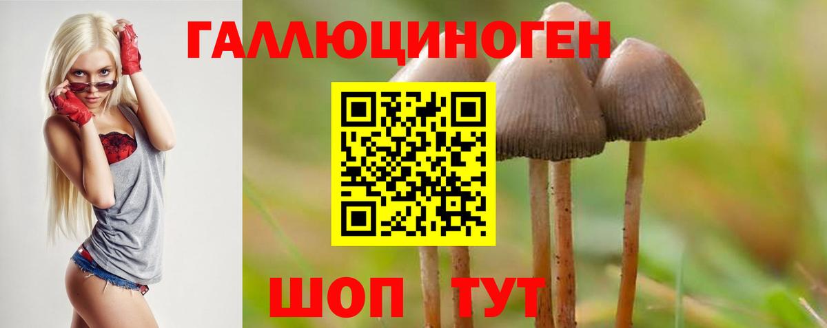 Галлюциногенные грибы Cubensis  Вход с VPN  Похвистнево 